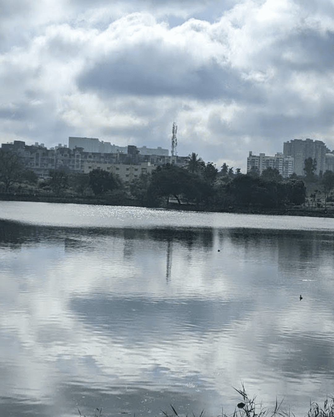 MPC Website 1600 × 1000(85)_Rohan (1080 x 1350 px) (8).png
